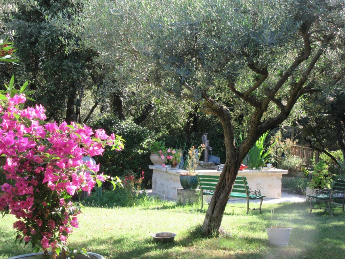 Domaine Du Bois Gite Bleuette Galargues Eksteriør bilde
